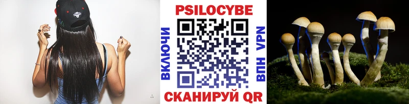 Псилоцибиновые грибы Psilocybe OMG зеркало Касли